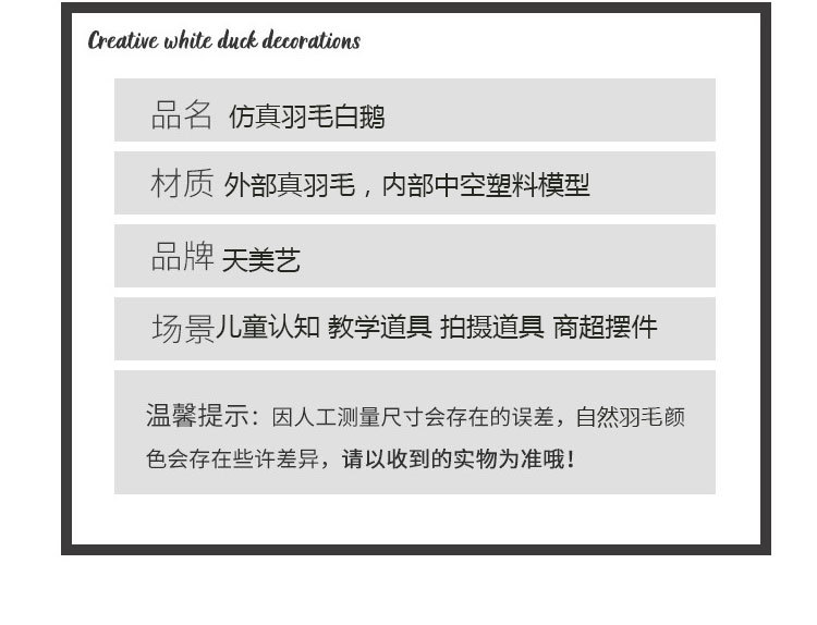 白鹅-1---副本_03.jpg