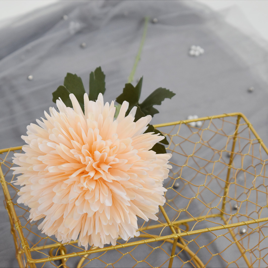 单头葱球香槟色1