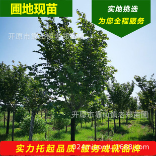 �|�����~�����~�� ȫ���Nֲ ���^��·ͥԺС�^�@�־G���^�p�е���