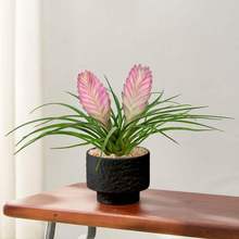 �F�m���Ԏ����l؛��ɫ�P�滨���҃�ֲ���k��������B�Gֲ�����՚�