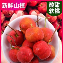 ���rɽ髹���ɽ��r���t���rɽ髴��ɽ��t���Ǻ��J�ìFժ��ɽ�