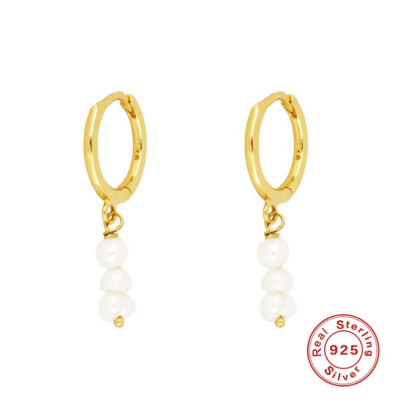 Daily Occasion 925 Sterling Silver Material 1 Pair 925 Sterling Silver Zircon Geometric Dangling Earrings