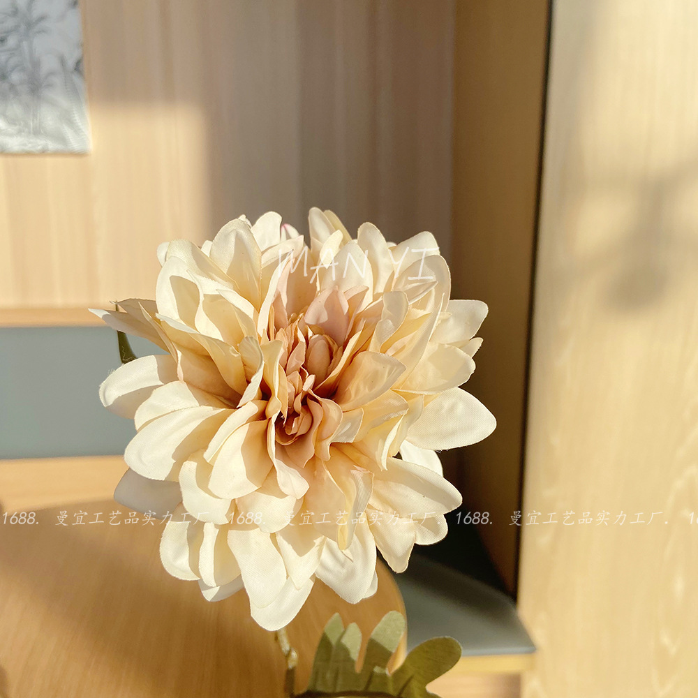 Princesa café marrón Nelly