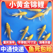 �\�����~�ݽ��~�^�p�~���~��ؔ�S�����P��ˮ��ˮ���B�ͻ�С�~