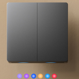 [Cross-Border] Zero Fire Wire Dual-Channel Bottom Blue-Green Led Indicator Tuya Wi-Fi Smart Rocker Switch