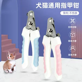 狗狗清洁;宠物梳子;口腔清洁