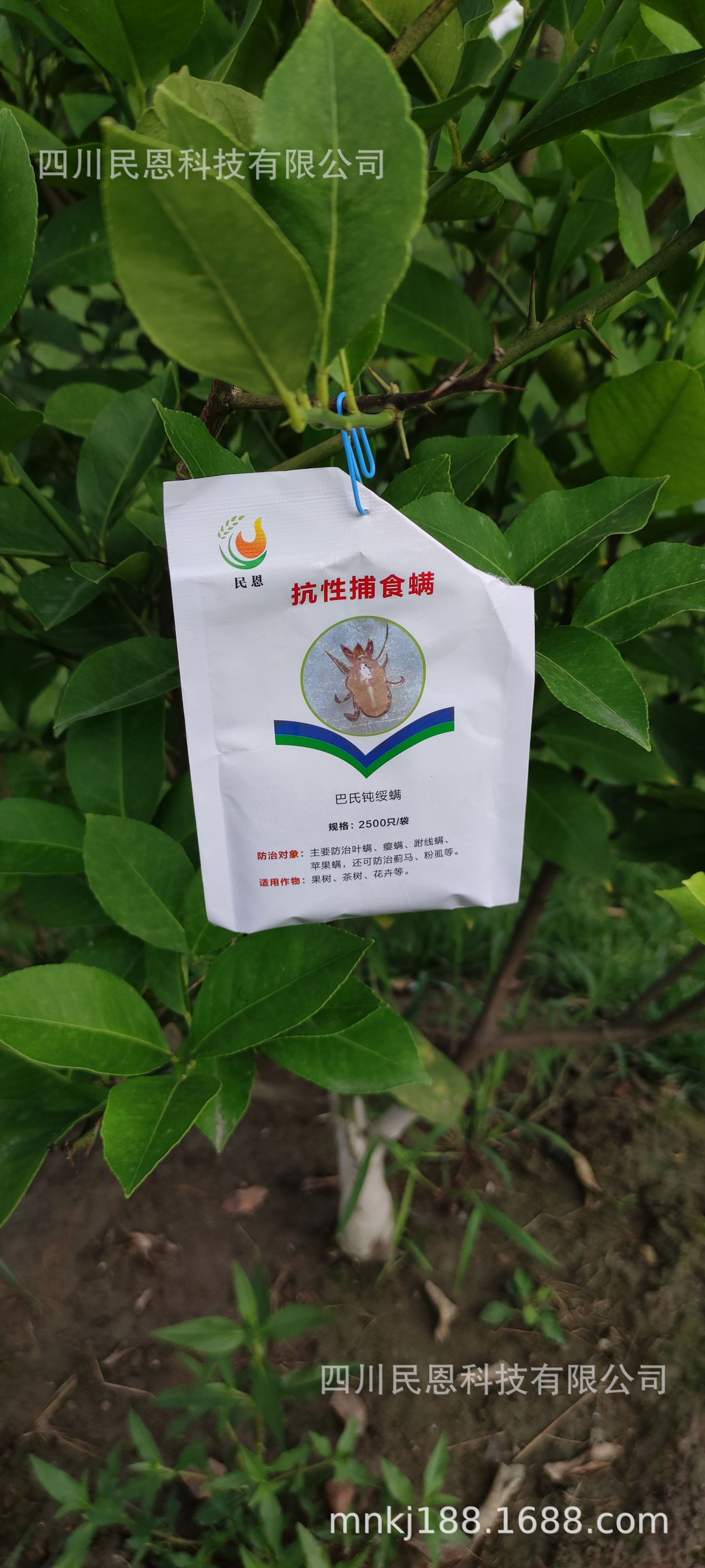 mmexport1627002197894