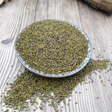 lɳԷ؛ѬȾraƷșɳԭԷӷ޼Sɳ