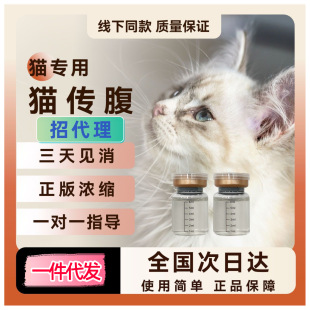 Consultation on Oral Tablets, Oil, and Liquid for Treating Abdominal Ascites in Cats with Fipv
