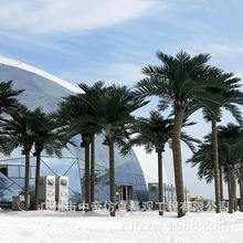 仿真玻璃鋼椰子樹大型景觀綠化人造大王椰仿生加納利海棗樹棕櫚科