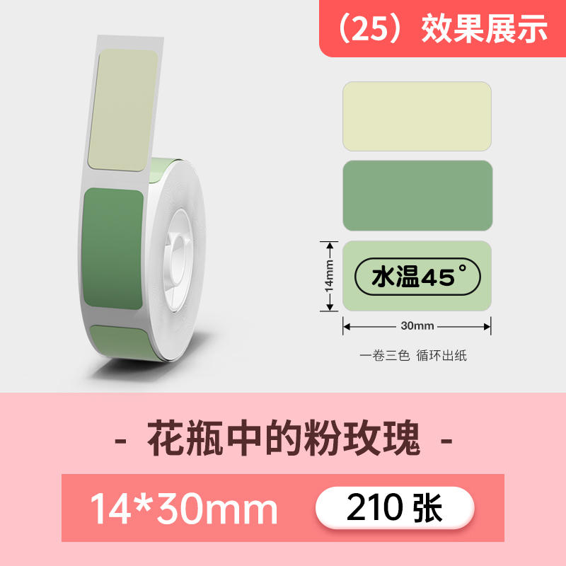 b【25#】T14*30-210 꽃병에 핑크 장미