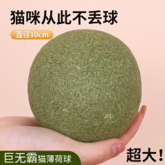 热销爆款宠物用品猫咪适用巨无霸猫薄荷球助排毛球解闷逗猫自嗨球