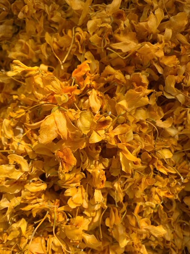 Yunnan Drumstick Dendrobium Flower New Arrival Iron Sheet Drumstick Dendrobium Flower Sky Seed Orchid Herbal Tea Supply Bulk Wholesale