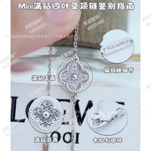 ��Ҹ߰��������~���廨�λ����Ů�p���ؐĸ�߰汾mini�������
