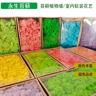 ����̦�\���l��̦500���Z¹̦�\�Gɫ���r��diy����ֲ�ܛ�b�b�