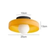 25cm orange glass ceiling model