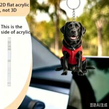 �羳�¿��e��СŮ��С��������ƽ�� ��܇���耳��b��������