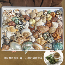 ��Ȼ����ؐ���ľ�з��Q��������ݮ��ݮ����С̖���Ú��~���쾰