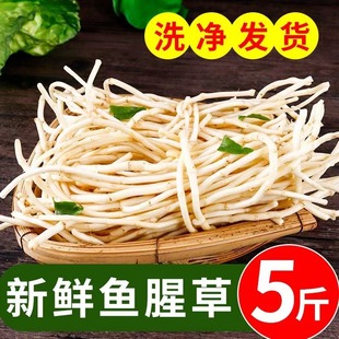 �۶������r�~�Ȳ��i�ǿ׮���Ұ�߲���ѿ�۸��~�F�ݛ�����˼�ʳ