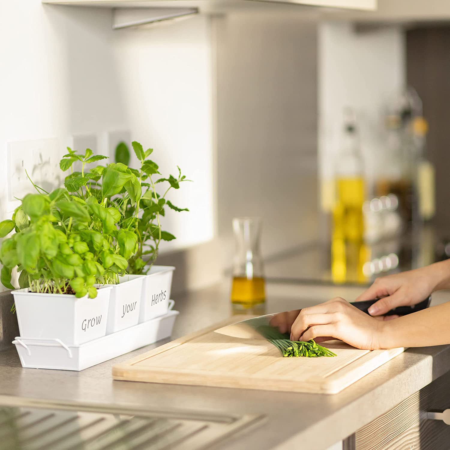 亚马逊室内植物种植套件跨境新手入门园艺生长套装创意花盆礼盒