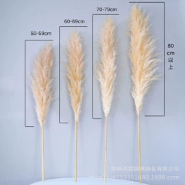 干花;永生花;林业副产品