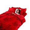 Flannel double-sided keep warm coral duvet cover, increased thickness