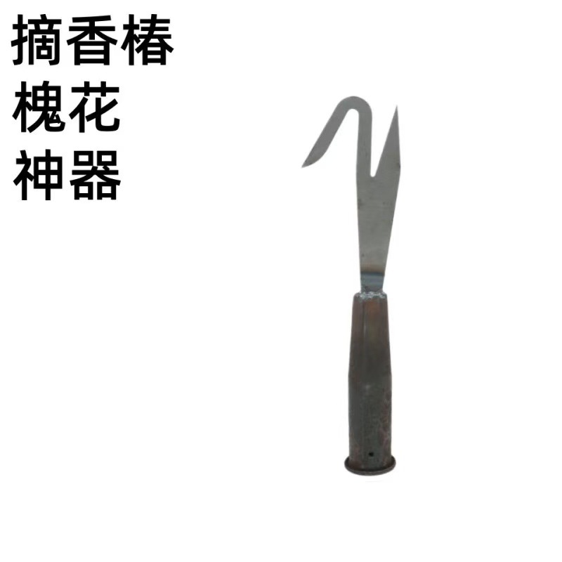 微信图片_20260319161755_883_142