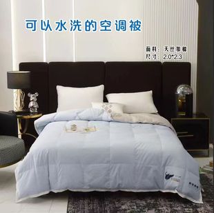 Tencel Face-Added Soft and Breathable Clear Water Duck down Goose down Summer Style Summer Cool Quilt Solid Color Double Thin Quilt Wholesale