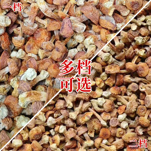 Dried Brazil Mushrooms 500g, Matsutake Mushroom, Hericium erinaceus Soup Pack, Ingredients for Stewed Soup, Wholesale Manufacturer of Matsutake Mushrooms