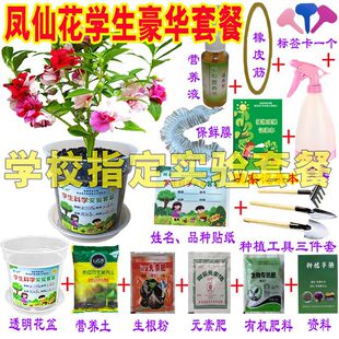 �P�ɻ��N��С�W���ƌW������b͸���������꼉�����׃��@ֲ��N��