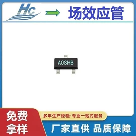 肖特基二极管;桥式整流器;集成电路