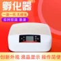 智能迷你自动家用孵化器