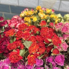 多头玫瑰泡泡蔷薇干花玫瑰花束云南干花滴胶花朵相框花材辅圣诞节