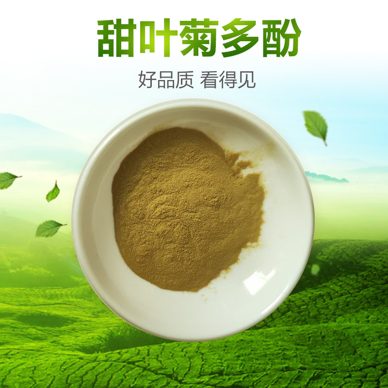 甜叶菊多酚40% 甜叶菊提取物  甜叶菊粉现货供应甜叶菊新食品原料