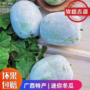 С�������r�Fժ����С�㶬�Ϯ����r�ҕr���߲˒�˪��ëˮ���|��