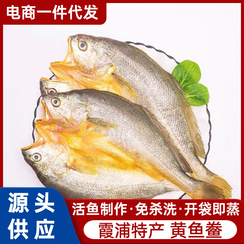 【养殖厂家】黄鱼鲞 大黄鱼三去黄花鱼免杀洗开背黄花鱼冷冻黄鱼