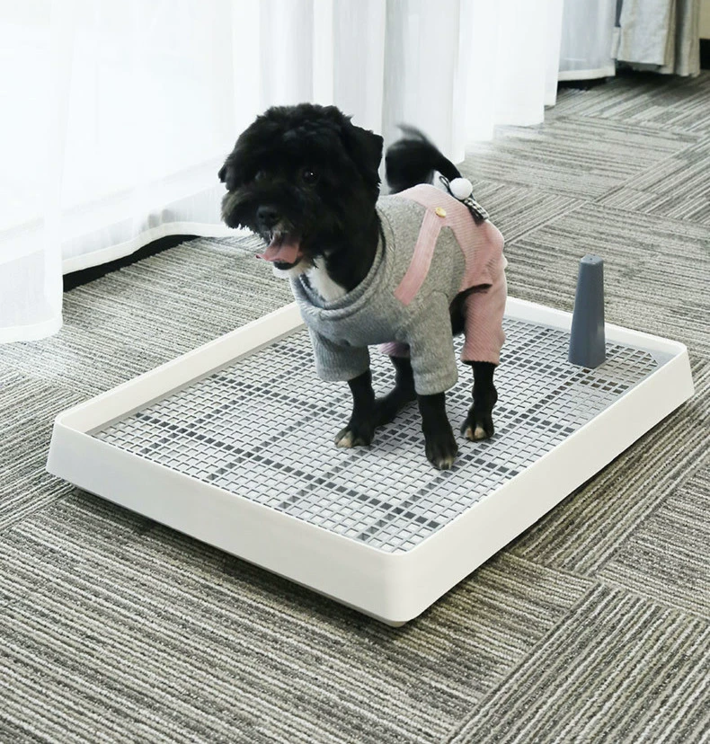 Большой туалет для собак Тедди Бомей Маленькая собака чихуахуа лучше, чем медведь