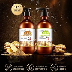 植物保羅生薑洗髮水露護髮素沐浴露去屑柔順氨基酸營養洗護套裝