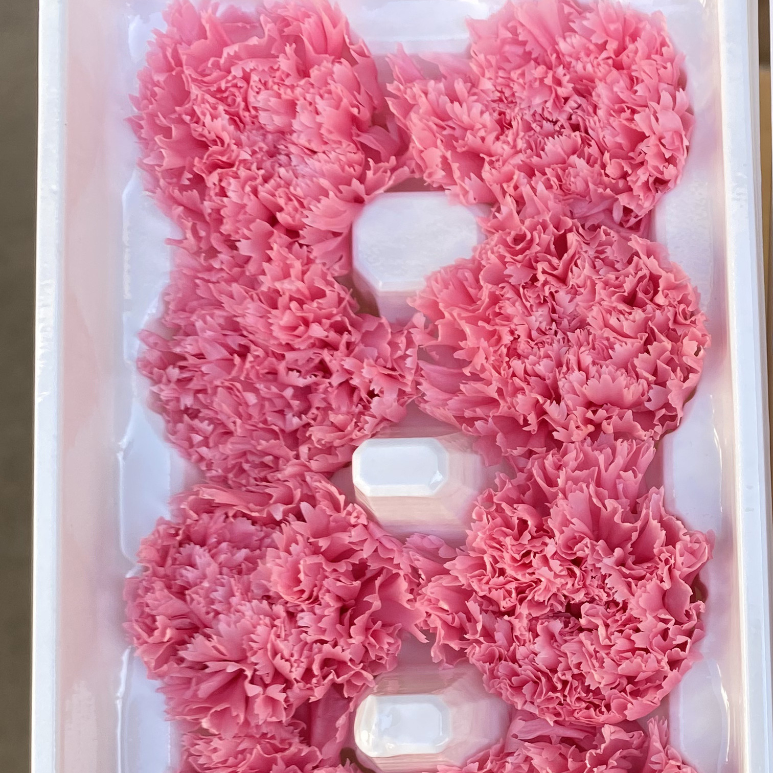 Cabezas de Claveles Preservadas A+, 4-5 cm, Paquete de 8, Arte Floral DIY, Caja de Regalo Educativa, Día de la Madre, Venta al por Mayor de Fábrica