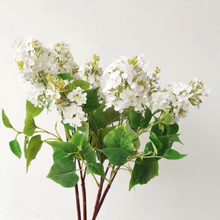 ���W���s��ɫ�϶�����滨�b��ٻ������҃ȘӰ巿�Ҿӿ͏d�[��