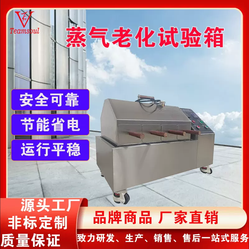 天硕蒸汽老化试验箱电镀元件寿命加速模拟环境试验机抗老化测试仪
