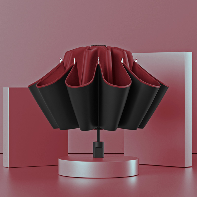 [버건디] 수동 8본 초가성비