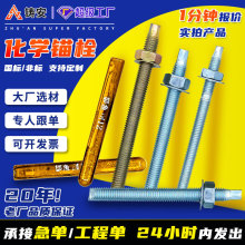 化学锚栓碳钢电镀锌4.8级国标建筑螺栓胶管M8-M30药剂化学螺栓