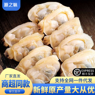 ����������󻨼��⻨��o���oɳ�S͘���⻨�׷Ǹ�؛���r�������l