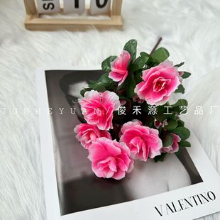 ������N��   ���l7��С���N�ٻ��͏d���خa�̈����⻨���b���