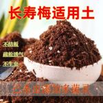 长寿梅适用土长寿梅营养土疏松透气弱酸性椰糠土养绿植养花通用土