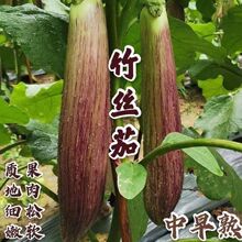 ��z���ӷN�������ϼt�Gɫ���ӷN���L���ϼt�۾G�AͲ���ѷN��