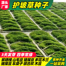 ľN뻱̻໨ľm֦Ӹٻɽ;GݷNo¹