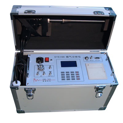 厂家现货ET5100型便携式烟气分析仪/耐高温气体检测仪 含采样