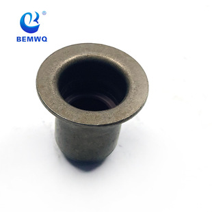 1134 0038 719/1134 0034 068/valve oil seal-inlet N20B38B48